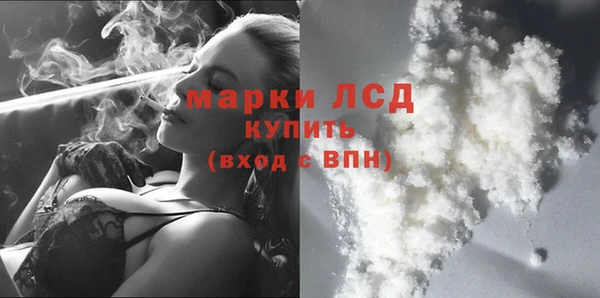 прущие грибы Нязепетровск