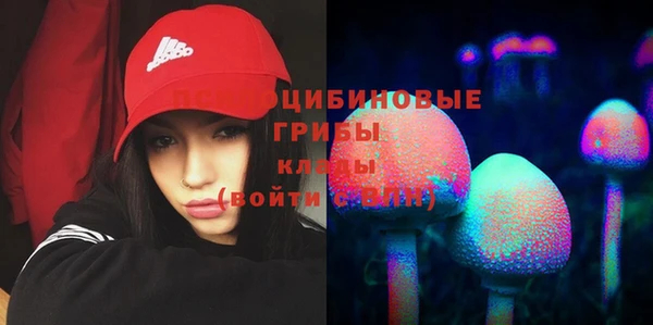 дурь Новозыбков