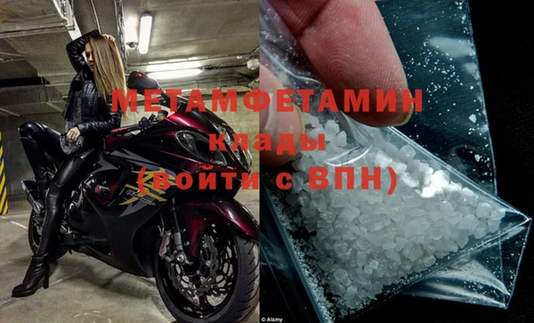 прущие грибы Нязепетровск
