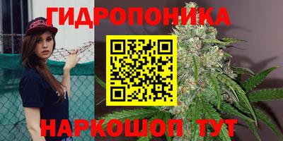винт Абинск