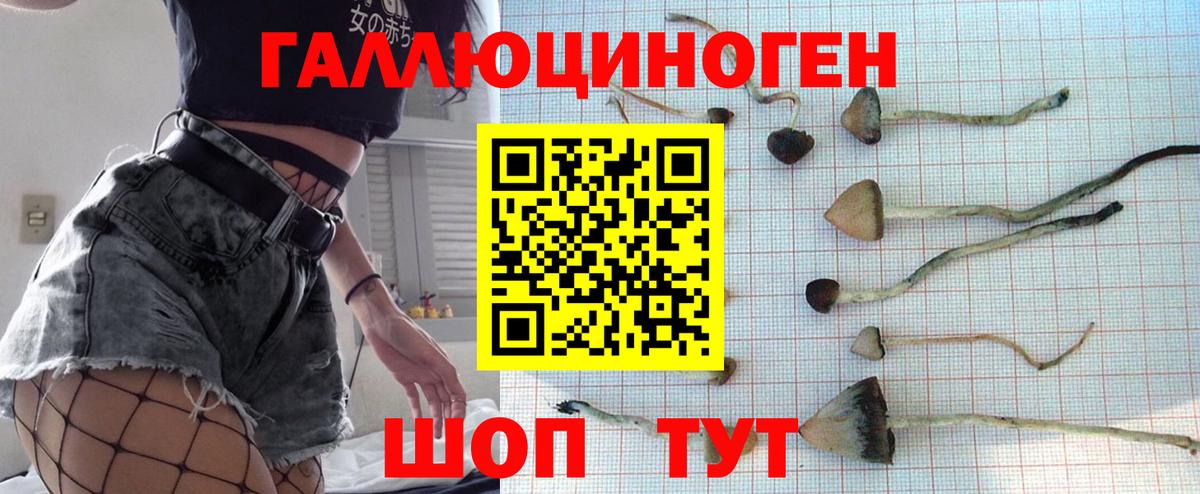 Псилоцибиновые грибы прущие грибы  Галлюциногенные грибы мухоморы  купить закладку  Новотроицк  Вход с VPN 