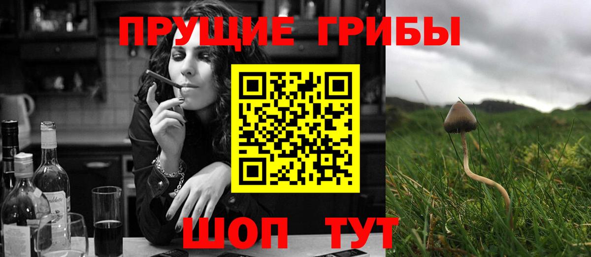 где продают   Псилоцибиновые грибы ЛСД  Новотроицк  Галлюциногенные грибы MAGIC MUSHROOMS 