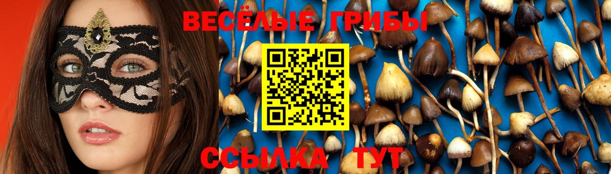 Псилоцибиновые грибы MAGIC MUSHROOMS Новотроицк