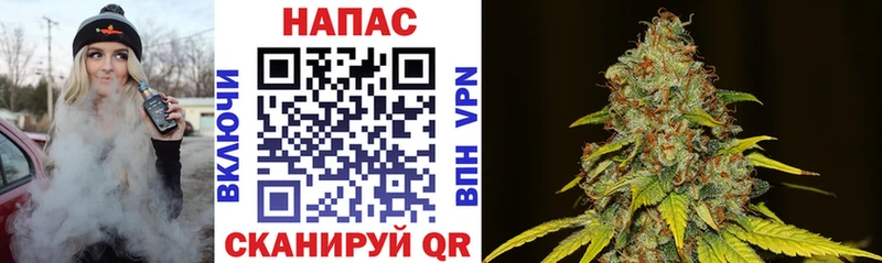 Конопля Amnesia Новотроицк